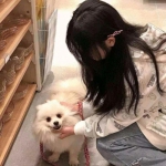 金庸群侠传2无敌版